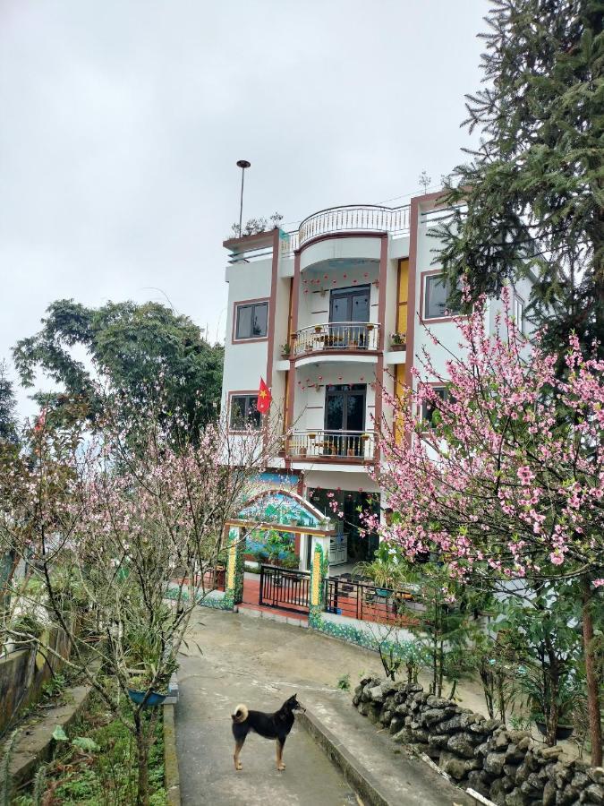 Flying Horse B & B サパ エクステリア 写真